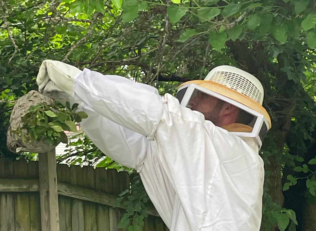 commercial pest control man removing a honeycomb in a commercial property
